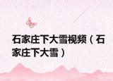 石家庄下大雪视频（石家庄下大雪）