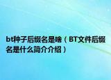 bt种子后缀名是啥（BT文件后缀名是什么简介介绍）