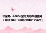 和谐号crh380d型电力动车组图片（和谐号CRH380D型电力动车组）