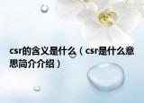 csr的含义是什么（csr是什么意思简介介绍）