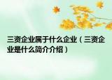 三资企业属于什么企业（三资企业是什么简介介绍）