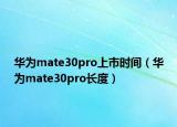 华为mate30pro上市时间（华为mate30pro长度）