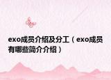 exo成员介绍及分工（exo成员有哪些简介介绍）