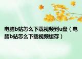 电脑b站怎么下载视频到u盘（电脑b站怎么下载视频缓存）