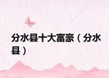 分水县十大富豪（分水县）