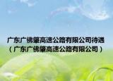 广东广佛肇高速公路有限公司待遇（广东广佛肇高速公路有限公司）