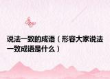 说法一致的成语（形容大家说法一致成语是什么）