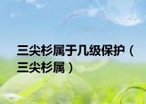 三尖杉属于几级保护（三尖杉属）