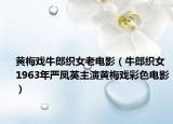 黄梅戏牛郎织女老电影（牛郎织女 1963年严凤英主演黄梅戏彩色电影）
