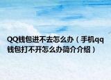 QQ钱包进不去怎么办（手机qq钱包打不开怎么办简介介绍）