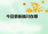 今日更新缅川在哪