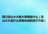 四川凉山大火起火原因是什么（凉山大火是什么原因造成的简介介绍）