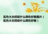 驼色大衣搭配什么颜色好看图片（驼色大衣搭配什么颜色好看）