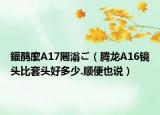 鑵鹃緳A17闀滃ご（腾龙A16镜头比套头好多少.顺便也说）