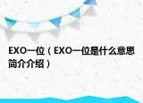 EXO一位（EXO一位是什么意思简介介绍）
