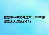 数据库mdf文件过大（MDB数据库太大,怎么办??）