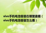 vivo手机电池容量在哪里查看（vivo手机电池容量怎么看）