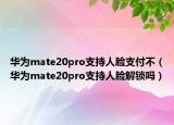 华为mate20pro支持人脸支付不（华为mate20pro支持人脸解锁吗）