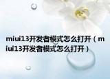 miui13开发者模式怎么打开（miui13开发者模式怎么打开）