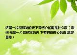 这是一片很寂寞的天下着伤心的雨是什么歌（歌词:这是一片很寂寞的天,下着有些伤心的雨.是那首歌）