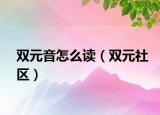 双元音怎么读（双元社区）