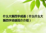 什么大振四字成语（什么什么大振四字词语简介介绍）