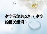 夕字五笔怎么打（夕字的相关组词）