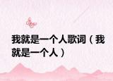我就是一个人歌词（我就是一个人）