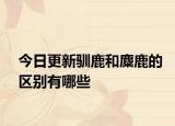 今日更新驯鹿和麋鹿的区别有哪些