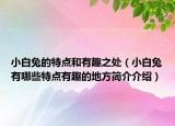 小白兔的特点和有趣之处（小白兔有哪些特点有趣的地方简介介绍）