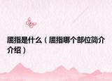 靥指是什么（靥指哪个部位简介介绍）