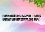 陕西省戏曲研究院冯艳丽（张丽霞 陕西省戏曲研究院青年旦角演员）