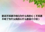 歌词不知道不明白为什么我的心（不知道不明了为什么我的心什么歌简介介绍）