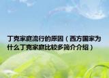丁克家庭流行的原因（西方国家为什么丁克家庭比较多简介介绍）