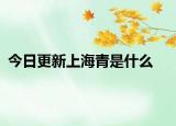 今日更新上海青是什么