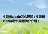 牛津树zipzip怎么理解（牛津树zipzap什么意思简介介绍）