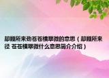 却顾所来劲苍苍横翠微的意思（却顾所来径 苍苍横翠微什么意思简介介绍）
