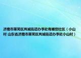济南市莱芜区凤城街道办事处有哪些社区（小山村 山东省济南市莱芜区凤城街道办事处小山村）
