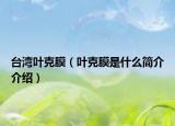台湾叶克膜（叶克膜是什么简介介绍）