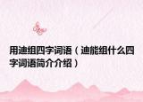 用迪组四字词语（迪能组什么四字词语简介介绍）