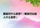 黑曼巴什么意思?（黑曼巴比喻人什么意思）