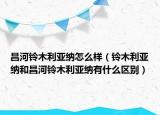 昌河铃木利亚纳怎么样（铃木利亚纳和昌河铃木利亚纳有什么区别）