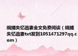 缉捕失忆逃妻全文免费阅读（缉捕失忆逃妻txt发到1051471297qq.com）