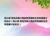 周小波 青岛市审计局自然资源和生态环境审计处处长（周小波 青岛市审计局自然资源和生态环境审计处处长）