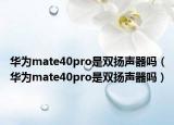 华为mate40pro是双扬声器吗（华为mate40pro是双扬声器吗）