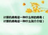 计算机病毒是一种什么样的病毒（计算机病毒是一种什么简介介绍）