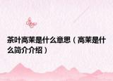 茶叶高茉是什么意思（高茉是什么简介介绍）