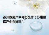 苏州做房产中介怎么样（苏州做房产中介好吗）