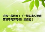 求教一段经文（《一切如来心秘密宝箧印陀罗尼经》里面的）