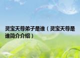 灵宝天尊弟子是谁（灵宝天尊是谁简介介绍）